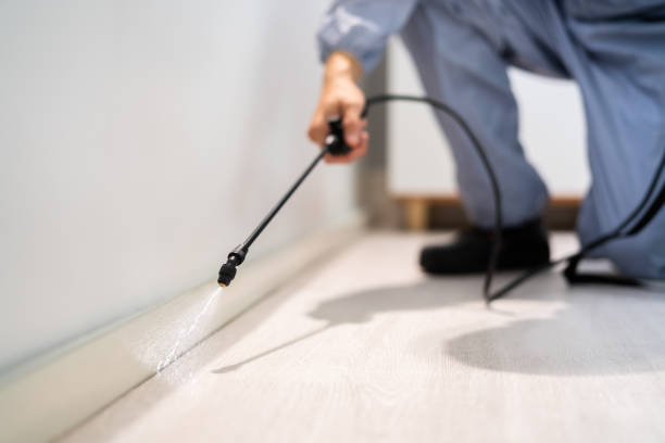 Bed Bug Pre-Treatment Preparation Assessment in Odenton