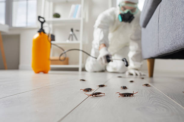 Post-Treatment Bed Bug Interceptor Monitoring in Odenton