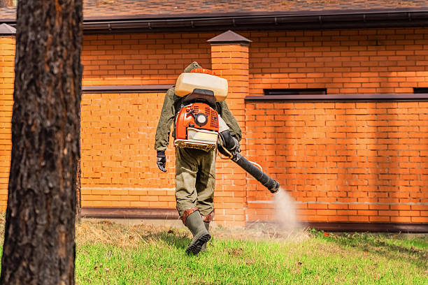 Bed Bug Clearance Verification and Documentation in Odenton